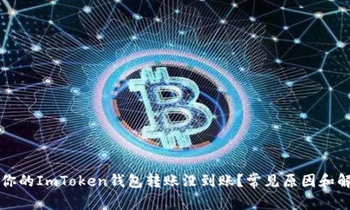 为什么你的ImToken钱包转账没到账？常见原因和解决方案
