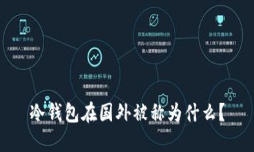 冷钱包在国外被称为什么？