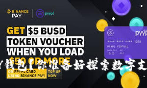 如何下载TOPAY钱包？你准备好探索数字支付的未来了吗？