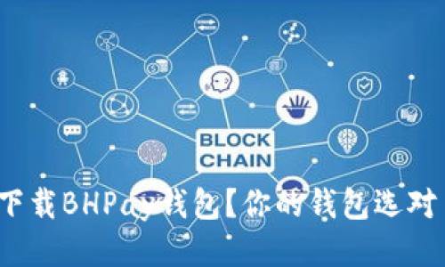 如何下载BHPay钱包？你的钱包选对了吗？