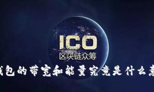 IM钱包的带宽和能量究竟是什么意思？