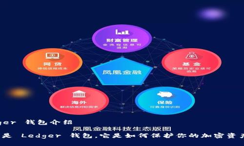 Ledger 钱包介绍

什么是 Ledger 钱包，它是如何保护你的加密资产的？