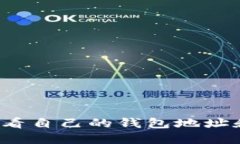 如何查看自己的钱包地址和密码？