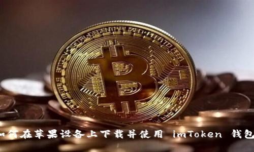 如何在苹果设备上下载并使用 imToken 钱包？
