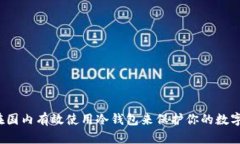 怎样在国内有效使用冷钱包来保护你的数字资产