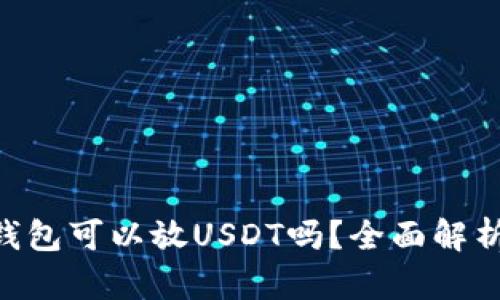 : imtoken钱包可以放USDT吗？全面解析与使用指南