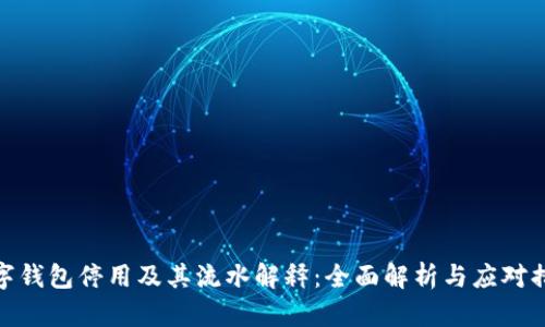 数字钱包停用及其流水解释：全面解析与应对措施