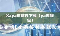 : 冷钱包电子钱包安全吗？全面解析冷钱包的安全