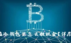 : U在冷钱包里怎么提现金？详尽指南