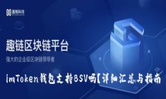 imToken钱包支持BSV吗？详细汇总与指南