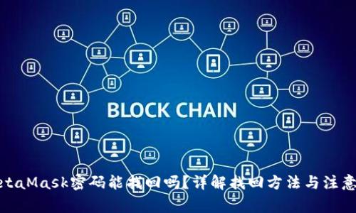 : MetaMask密码能找回吗？详解找回方法与注意事项