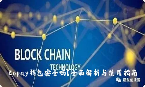 Copay钱包安全吗？全面解析与使用指南