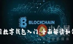 数字钱包如何用数字钱包入门：全面解读如何使