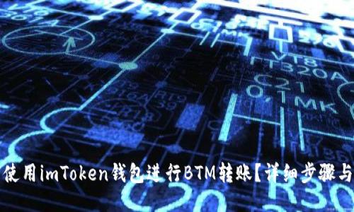 如何使用imToken钱包进行BTM转账？详细步骤与技巧