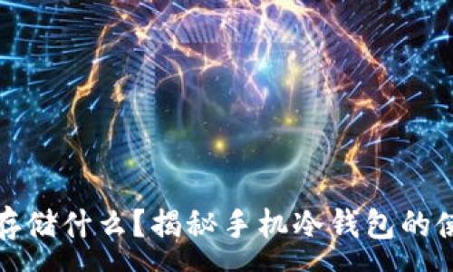 :
手机冷钱包可以存储什么?揭秘手机冷钱包的使用范围和安全性