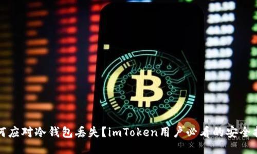 如何应对冷钱包丢失？imToken用户必看的安全指南