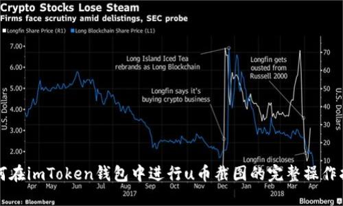 如何在imToken钱包中进行u币截图的完整操作指南