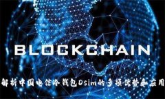 全面解析中国电信冷钱包Dsim的多项优势和应用场