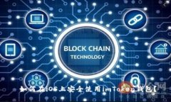  如何在iOS上安全使用imToken钱包？