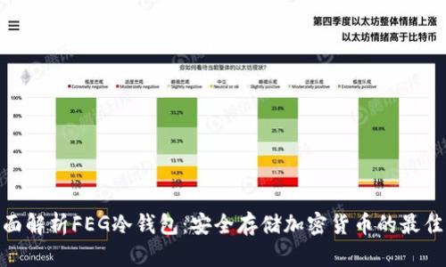 : 全面解析FEG冷钱包：安全存储加密货币的最佳选择