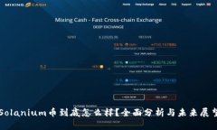 Solanium币到底怎么样？全面分析与未来展望