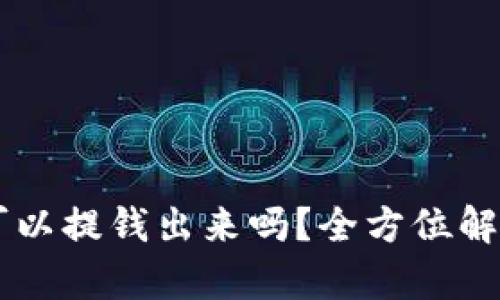 币圈冷钱包可以提钱出来吗？全方位解析及操作指南