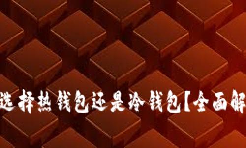 : 提币时选择热钱包还是冷钱包？全面解析与比较